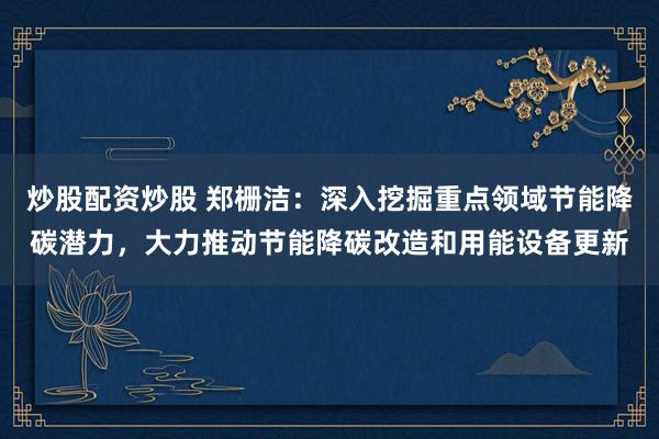 炒股配资炒股 郑栅洁：深入挖掘重点领域节能降碳潜力，大力推动节能降碳改造和用能设备更新