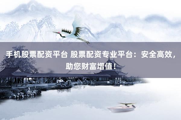 手机股票配资平台 股票配资专业平台：安全高效，助您财富增值！