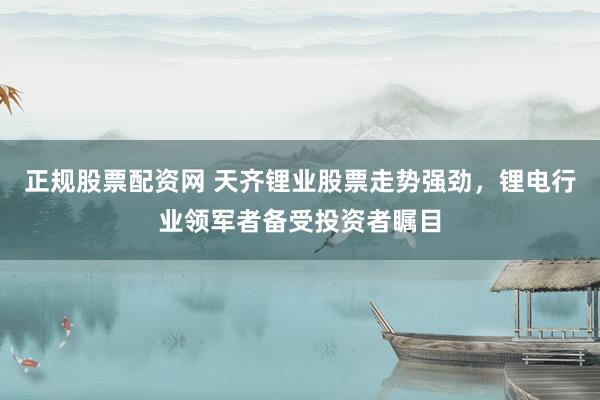 正规股票配资网 天齐锂业股票走势强劲，锂电行业领军者备受投资者瞩目