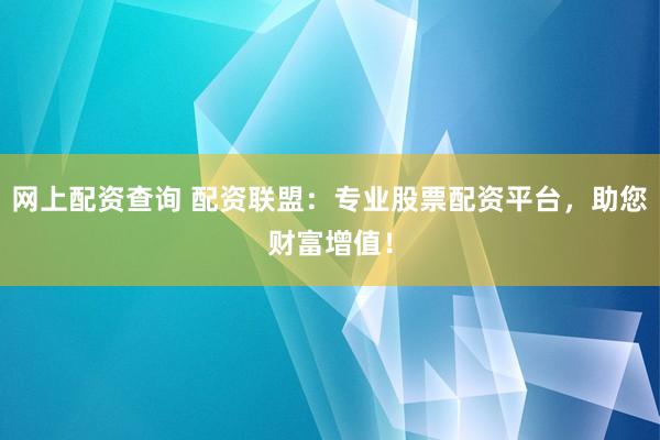 网上配资查询 配资联盟：专业股票配资平台，助您财富增值！