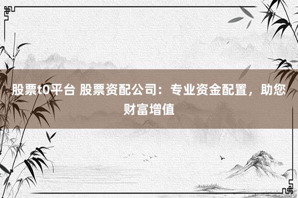 股票t0平台 股票资配公司：专业资金配置，助您财富增值
