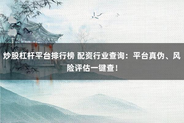炒股杠杆平台排行榜 配资行业查询：平台真伪、风险评估一键查！