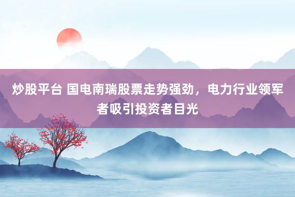 炒股平台 国电南瑞股票走势强劲，电力行业领军者吸引投资者目光