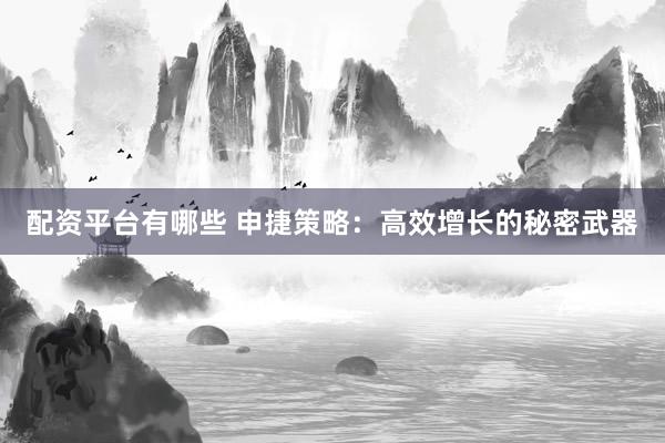 配资平台有哪些 申捷策略：高效增长的秘密武器