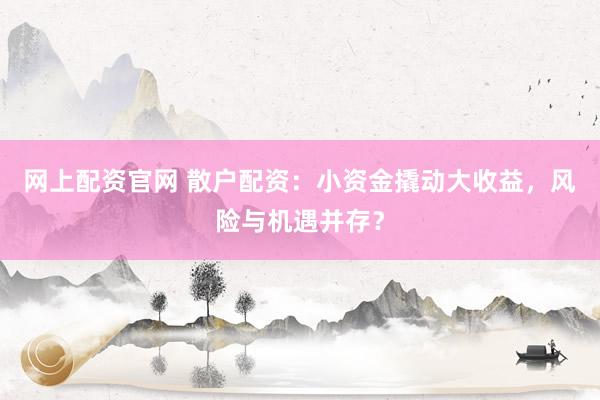 网上配资官网 散户配资：小资金撬动大收益，风险与机遇并存？
