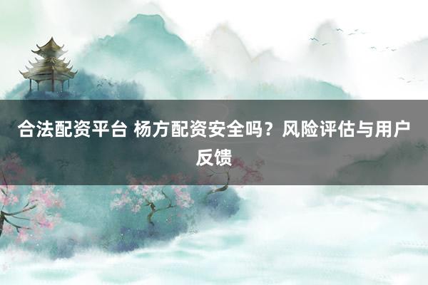 合法配资平台 杨方配资安全吗？风险评估与用户反馈