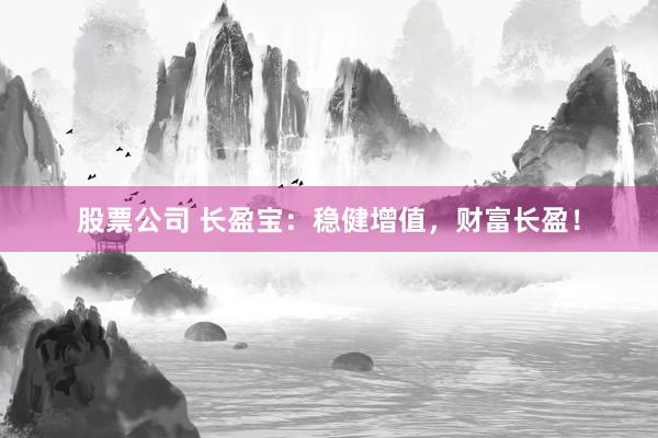 股票公司 长盈宝:稳健增值,财富长盈!