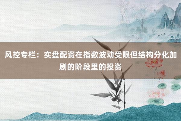 风控专栏：实盘配资在指数波动受限但结构分化加剧的阶段里的投资