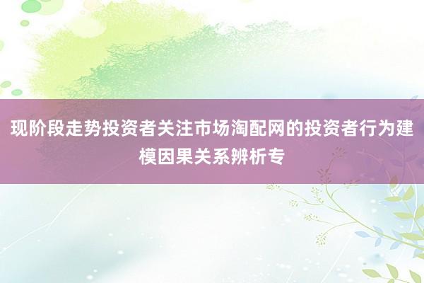现阶段走势投资者关注市场淘配网的投资者行为建模因果关系辨析专