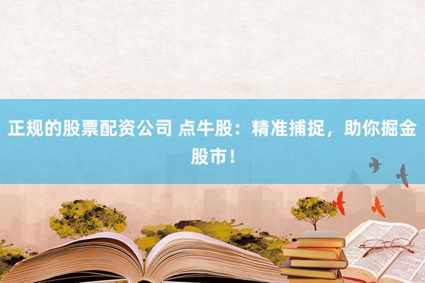 正规的股票配资公司 点牛股：精准捕捉，助你掘金股市！